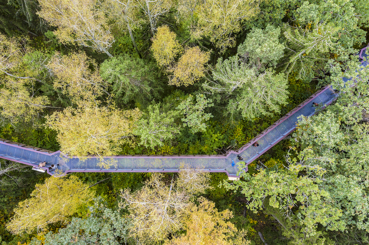 Anyksciai Treetop Walking Path ©laimonas Ciunys Lithuania Travel