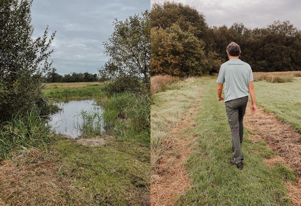 Wandeling Boswachter