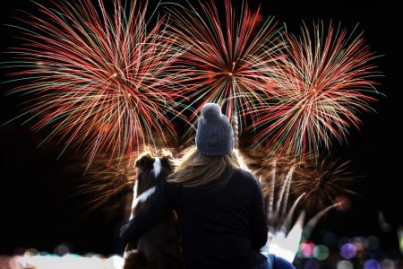 Low Angle View Of Firework Display At Night