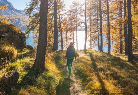 Sante De Natuur In Als Medicijn