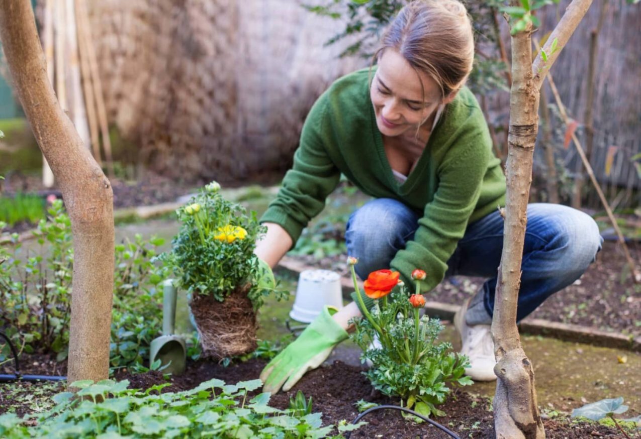 Vrouw Tuiniert En Maakt Kleine Tuin Gezellig