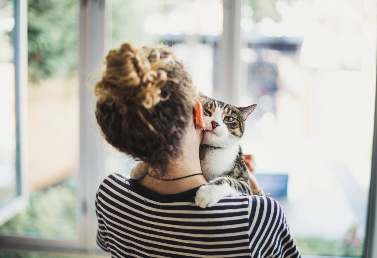 Emoties Van Jouw Kat: vrouw knuffels met haar kat