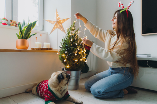 kerstboom alternatief