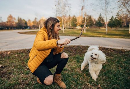 wandelroutines hond: vrouw gooit stok voor haar hond in het park